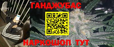 сатива Сланцы