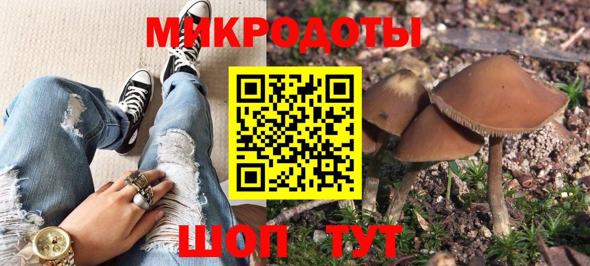 Псилоцибиновые грибы ЛСД Петрозаводск