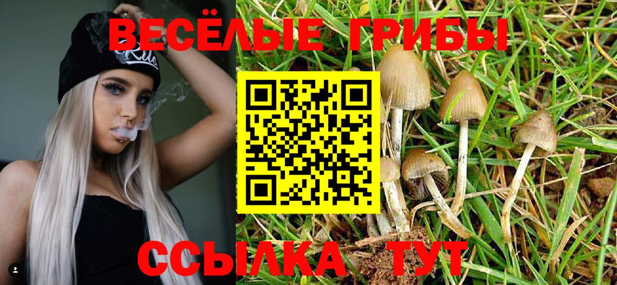 Галлюциногенные грибы MAGIC MUSHROOMS  Вход с VPN  цена   Петрозаводск  Галлюциногенные грибы GOLDEN TEACHER 